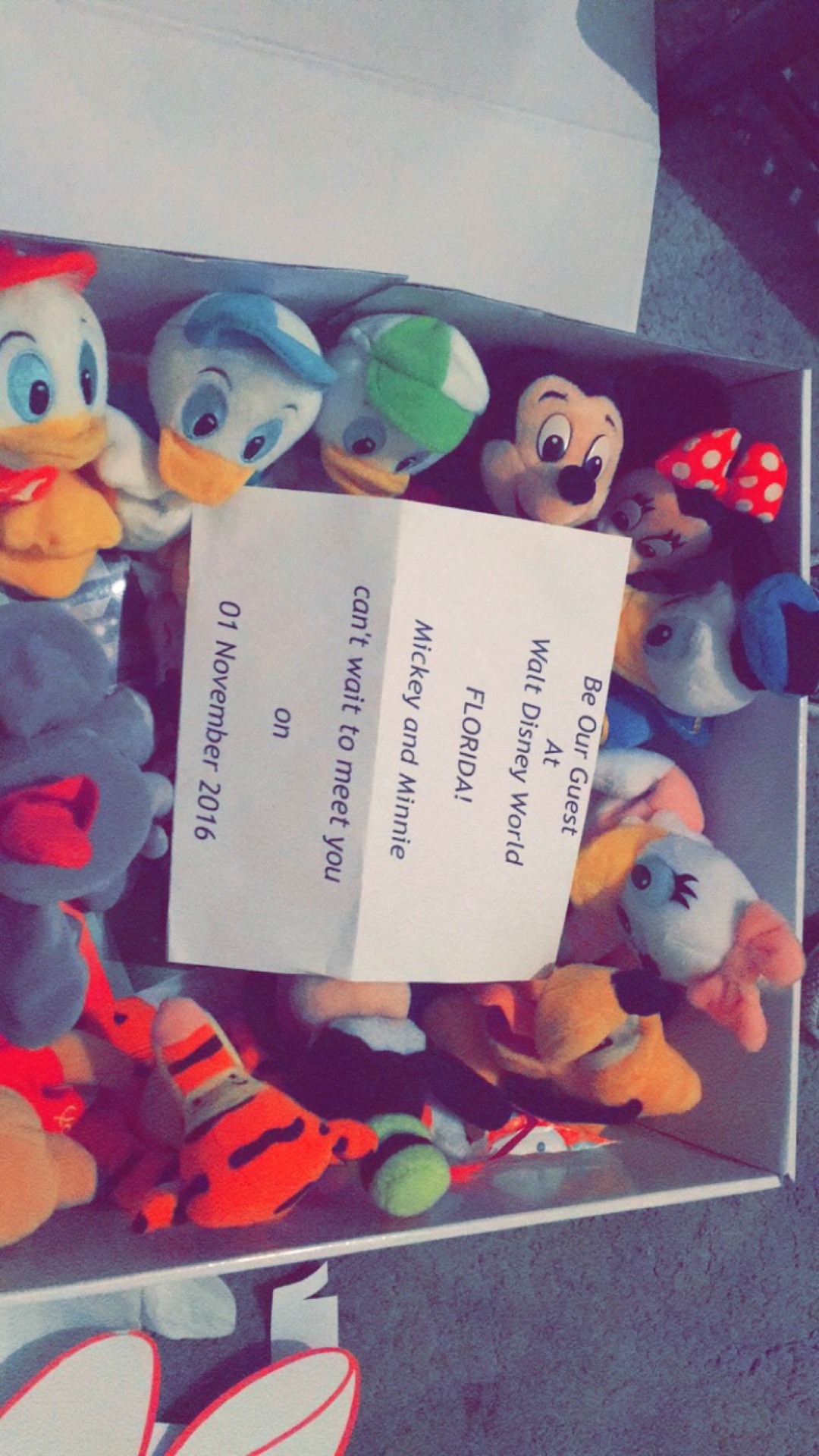 searchingforaprincess:  missaloneinacrowdedplace:  sweetinnocentbabygirl:  🎁Oh
