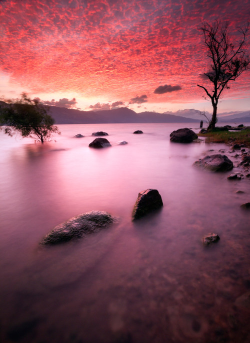 enchantinghearts:  R E D (by wazri firdaus)