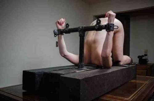 trannymastress: freakshow4fun:That is a fuck box. This is awesome!  Perfection in it’s simplicity an