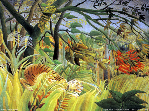 Tiger in a Tropical Storm (Surprised!), 1891, Henri RousseauMedium: oil,canvashttps://www.wikiart.or