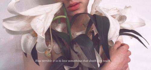 coltre:how terrible it is to love something that death can touch