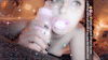 tumblr photo femaledesperationwetting 2
