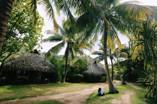 summersenstations:I just can’t describe my love for this islandInsta: cameronkirrk❀ tropical blog - 