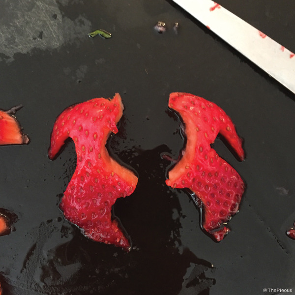 lettingthewaterholdmedown: trnsatlanticfoe:  archiemcphee:   Cthulhu fhtagn, lets