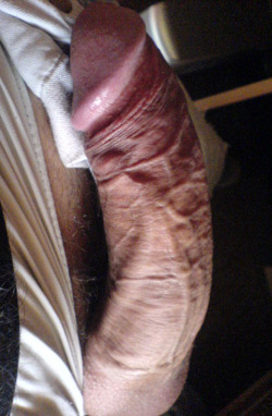 bitebienveinee:  A great veiny shaft selected