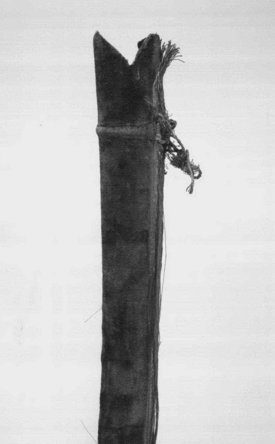 art-of-swords:  Tulwar Sword Dated: 19th century Culture: Indian; Deccan The sword