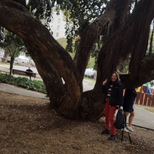 What better thing to do on my birthday than hug a gigantic tree? Yesterday was full of birthday surp