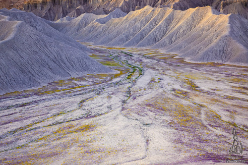 photojojo: The Badlands of the American West are typically a harsh, dry place with little to no vege