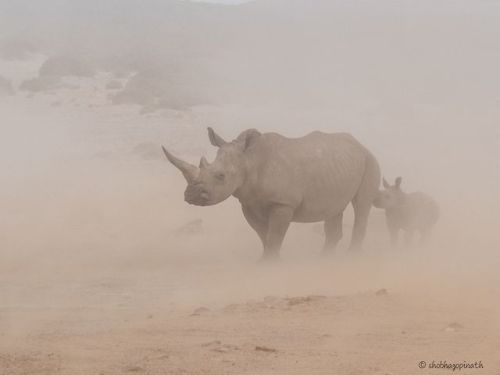 Top Shot: Out of the Dust    Top Shot features the photo with the most votes from the previous day’s