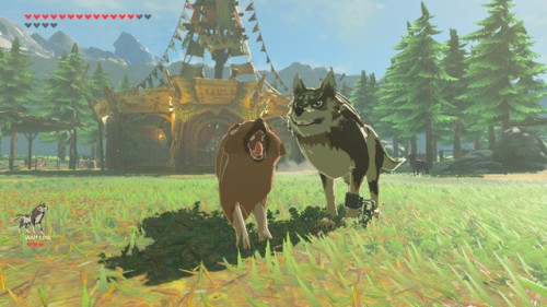 zelink-af: bork. b o r K .