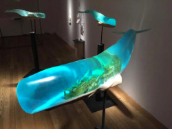coolthingoftheday:  Samsara is the name of a project by Japanese artist Isana Yamada. Composed of six translucent whales mounted on podiums that are lit from within, the interior of the sculptures showcase six different landscapes, including shipwrecks,