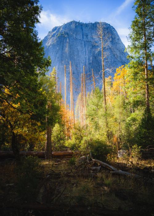 Oneshotolive:  Taking A Little Time, Out Hiking Around El Capitan. Yosemite, Ca.