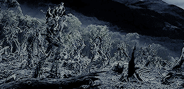  LOTR feelings » C ↳ We must walk open-eyed into [Sauron’s] trap, with courage,