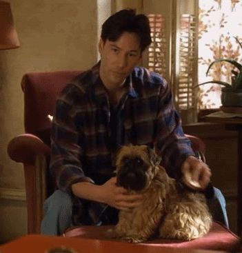 parks-and-rex: boobies-are-candy:  parks-and-rex:   parks-and-rex:   mcthedoodler:   parks-and-rex:   parks-and-rex:   parks-and-rex:   justcuchu:   parks-and-rex:   parks-and-rex:  REBLOG IF YOU LOVE DOGS     MAYBE I’M SMALL AND EMOTIONALLY UNSTABLE