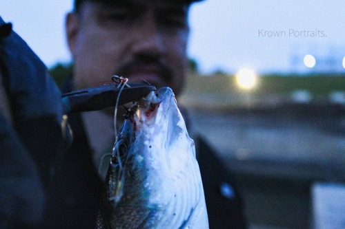 Hook'em N Book'em❗ .....#fishing #dallasphotographer #photooftheday #detailphotography #nightphotogr