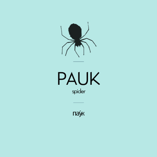 Pauk / Пау́к (m.) | Spider/ pɐˈuk / 