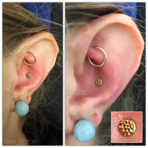 #conchpiercing with a solid 14k gold Hammered Disk from @alchemyadornment #piercing #piercingsofinst