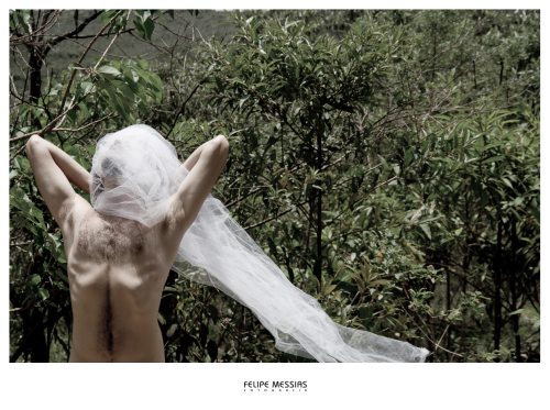 onelittleindie: Fortemente inspirado no trabalho musical da cantora Björk, o fotógrafo Felipe Messias criou uma série que traduz através da interpretação dos modelos e criatividade do artista sua visão pessoal sobre o conteúdo lírico, sonoro