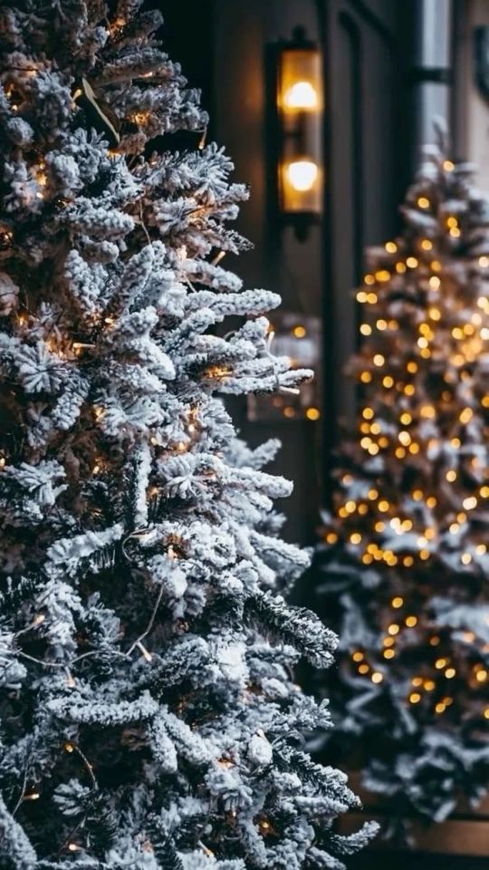 wintry--nights - Wintry Nights And Christmas Lights