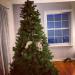 catasters: Tis the season