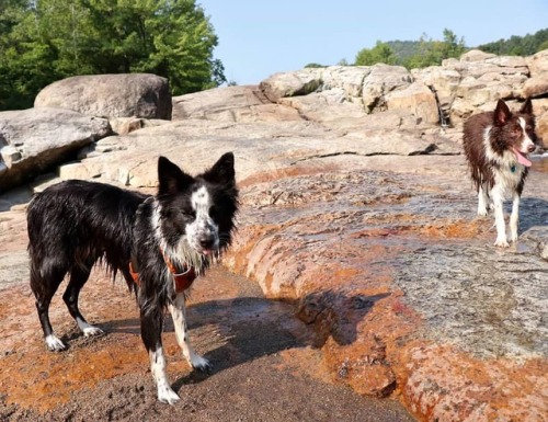When you are just trying to get a nice picture of your kids&hellip;#tot #tongueouttuesday #hikin