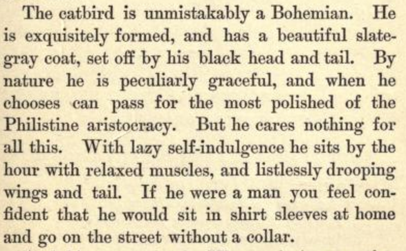 verysmallfrogs:  lookupbin:  vintar:  apparently the first bird field guide was written