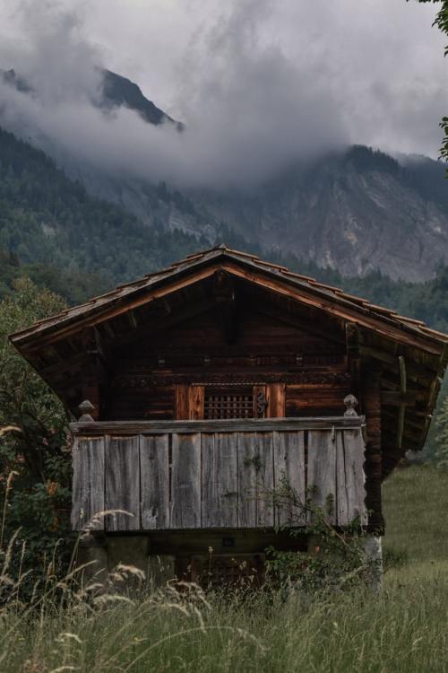 w&ndash;o&ndash;o&ndash;d&ndash;l&ndash;a&ndash;n&ndash;d:    Grindelwald, Switzerland  