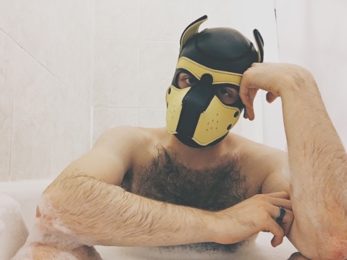 pupbustermackenzie:how do puppies have the most fun by themselves after a long day? bubblebath! duh.