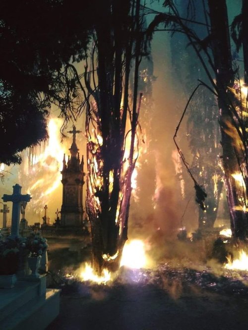 Fire of Cacabelos cemetery, Spain, 2017. porn pictures