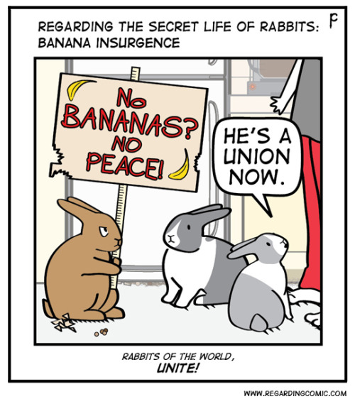 regardingcomic: Civil unrest … Basically the plot of a good portion of Watership Down. XD