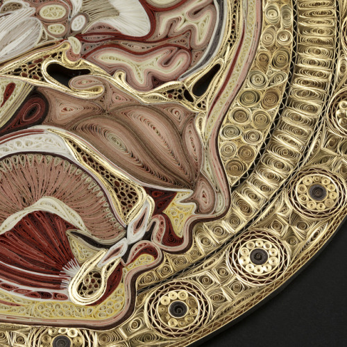 mudwerks: 2headedsnake:  Paper artist Lisa Nilsson recently completed new anatomical pieces using he