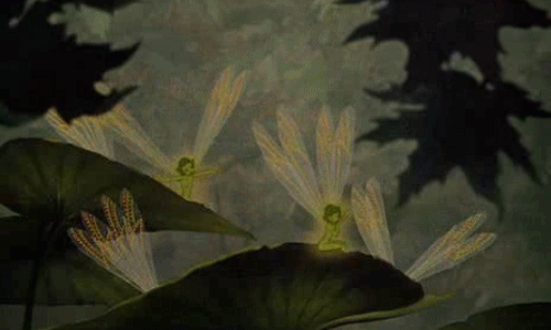 grey-moth:Fantasia (1940)