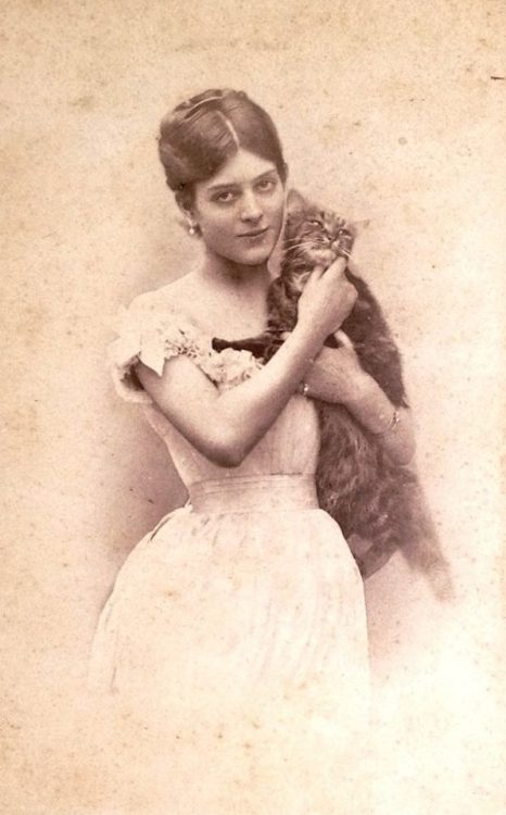catsbeaversandducks:Cats In History: The Victorian EraChances are, if you are reading this, you li