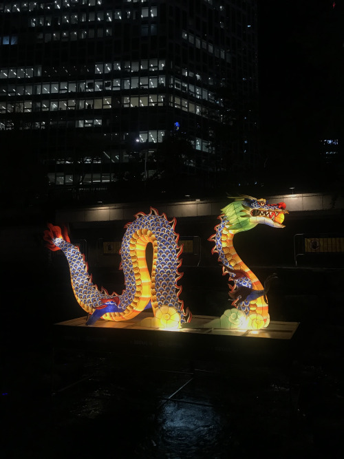 This gorgeous dragon lantern can be found at Cheongyecheon stream as part of 2019 Seoul Lantern Fest