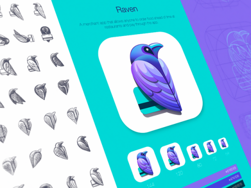 Raven Product Identity Design by Ramotion