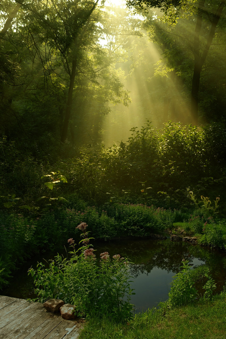 freehughippie:  ૐFree hugsૐ   Good morning!