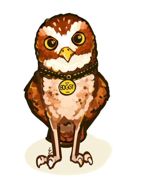 cloudmancy: does boggariel owlariel, the roundest owl in the world, know that I would die for him [i