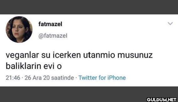 fatmazel @fatmazel...