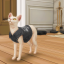 cataleyasims