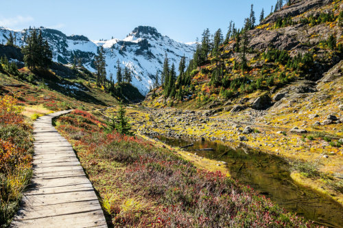 Photography by Visioni ItalianeLocation: The area around Mt. Baker Ski Resort, WA, USA If you e