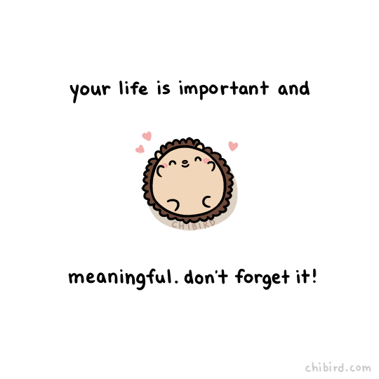 chibird:  Happy hedgehog reminder! :D 