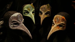 ghoulnextdoor:  4 seasons of bird beaks by GorillaEye on deviantART 