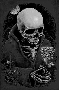 slobbering:  The Rose ~ monkeymouth