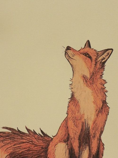 j-reaper:morganalefay:j-reaper:So…what did the fox sayReally man? Really?!Yeah, long day and 