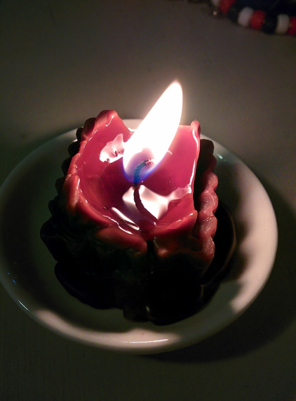 germanystatas: i got these two candles and they are shaped like chocolates and smell