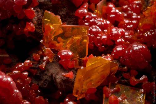 Wulfenite with Mimetite - Rowley Mine, Maricopa Co., Arizona