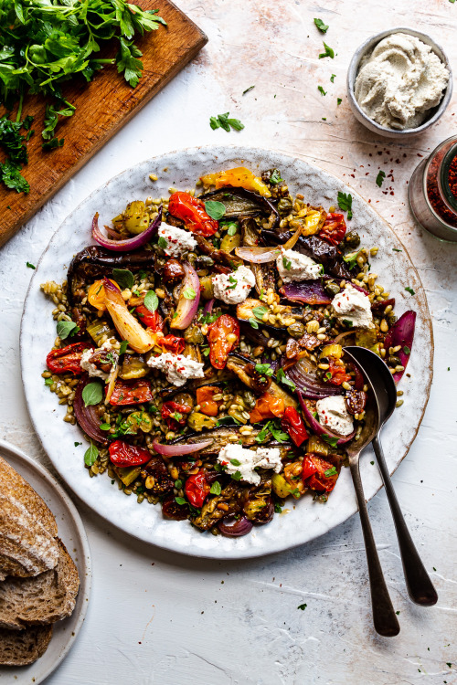 Roasted aubergine saladRoasted aubergine salad is really easy to make, filling, healthy and full of 