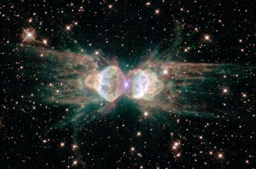 anightintheforest:  infinity-imagined:  A collection of planetary nebulae; clouds of ionized gas that form as red giant stars die and cast off their outer layers.  This process enriches interstellar space with heavy elements that go on to form new stars