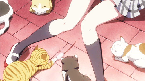 きゅん♡
