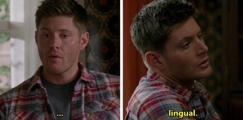 samanddeanunited: daydreamingintheimpala:Stop ruining shit. Okay this is gross. You don’t deny